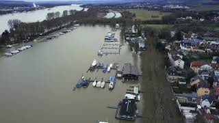 Hochwasser in Wiesbaden  Luftaufnahmen vom Schiersteiner Hafen und Biebricher Rheinufer [upl. by Stagg73]