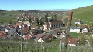 Weinwanderung Durbach [upl. by Lareena]