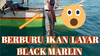 MANCING IKAN BLACK MARLIN  IKAN LAYAR PAKAI TEKNIK ZAMAN PURBAKALA [upl. by Shumway]