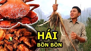 Hái Bồn Bồn ăn Cua Biển và Bánh Tằm Cay quot7 cấp độquot ở Cà Mau [upl. by Xymenes]