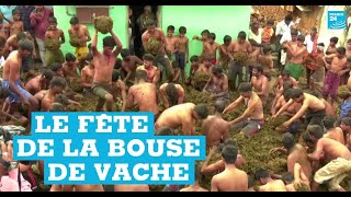 Inde  quand des villageois se livrent au rituel de la bataille de bouse de vache [upl. by Nahsad]