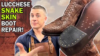 Repairing Lucchese Snake Skin Cow Boy Boots [upl. by Rosati]