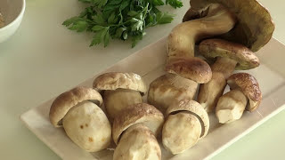 RISOTTO AI FUNGHI PORCINI  Video Ricetta  Grigio Chef [upl. by Anada]