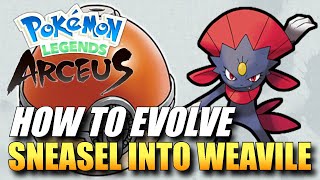 Pokemon Legends Arceus  How To Evolve Sneasel Into Weavile  How To Get Weavile [upl. by Euqinotna]