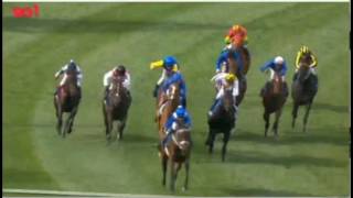 2016 Moonee Valley W S Cox Plate  Winx [upl. by Nennerb]