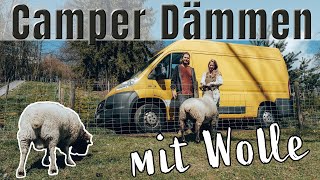 CAMPER DÄMMEN MIT SCHAFWOLLE  Natürliche Dämmung im Busausbau  VAN LIVE SHOW [upl. by Enelyam]