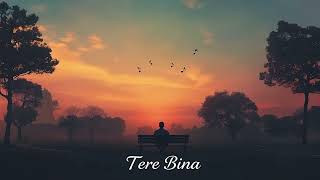 Tere Bina Romantic Reverb Version A Love Beyond Words [upl. by Ronyam]