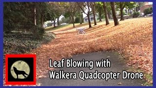 Leaf Blowing with Walkera Quadcopter Drone [upl. by Einnus430]