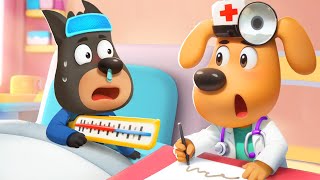 Listen to Your Doctor Sheriff  Healthy Habit Kids Cartoon  Sheriff Labrador  BabyBus [upl. by Akemaj698]