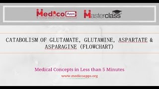 CATABOLISM OF ASPARTATE ASPARAGINE amp GLUTAMATE GLUTAMINE [upl. by Nnyltiac134]