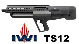 The new IWI Tavor TS12 12gauge shotgun [upl. by Trudy8]