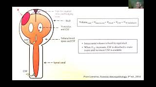 AANP Teaching Rounds  September 23 2024  Neuropathology of Brain Swelling and Herniation [upl. by Irolam]