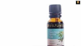 How to use Tea Tree Essential Oil effectively  Remedy for Hairfall amp Acne Natural oils [upl. by Blinnie]