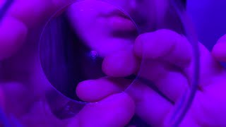 ASMR  No Talking Cupped mouth sounds 😴 [upl. by Edmonds774]