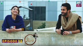 Shehnai Episode 12  Affan Waheed  Ramsha Khan  ARY Zindagi [upl. by Ahtram]