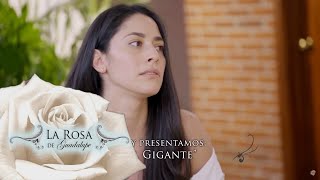 La Rosa de Guadalupe 2021 El Gigante Parte 12 HD [upl. by Krein]