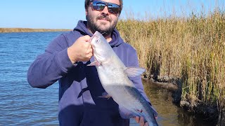 Catching Catfish at Corys ditch [upl. by Argella507]