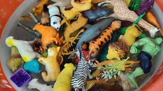 Safari Animal toys Figurines collection  wild animas  zoo animals figure  plastic animals [upl. by Pussej654]