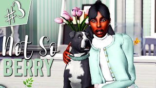 A DNA TEST amp BEING ASKED TO BE A GIRLFRIEND 🧬🤔  The Sims 3 Not So Berry 🫐  Part 3 [upl. by Moorish]