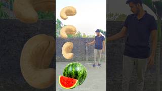 Rounding cashew nut to Grapes Mango lichi amp Watermelon  Fruits names magic video [upl. by Suolhcin975]