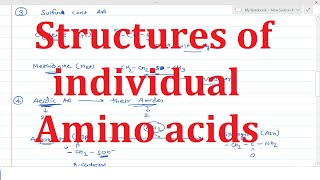 2 Structures of individual amino acids  Structural classification of amino acids [upl. by Prudie]