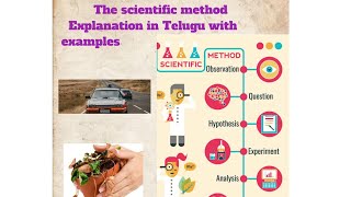 what are scientific methods  scientific methods with examples  with in 1 minute clear concept [upl. by Anirav252]