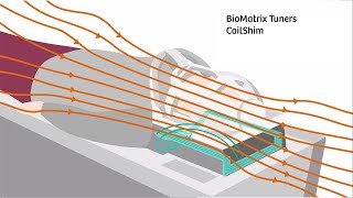 BioMatrix Tuners CoilShim  how it works [upl. by Krakow718]