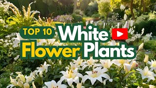 ▶️ Top 10 Stunning White Flower Plants for a Fresh Home Vibe 🌿 [upl. by Aisatsana980]