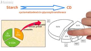 Cyclodextrin in depth [upl. by Annael]