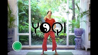 Qigong for Beginners [upl. by Sears]