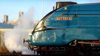 LNER A4 Bittern 4464 at Lincoln 301214 Plus GBRF amp EWS Freight [upl. by Leff664]