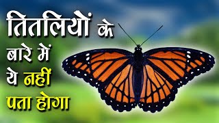 Amazing Facts About Butterfly  तितलियों के बारे में ये नहीं पता होगा  Strange Facts [upl. by Shaylah318]