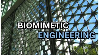 Biomimetic Engineering NatureInspired Technology Solutions biomimicry [upl. by Sualkcin]