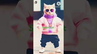 cat smart cat rap hiphop rapsong reels smart cat [upl. by Bullen]