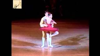 Don Quixote Grand Pas de Deux  Mariinsky Ballet [upl. by Maon]