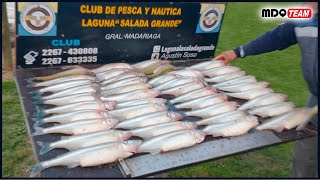 PEJERREYES GIGANTES EN LA LAGUNA SALADA GRANDE DE MADARIAGA [upl. by Arraeis]