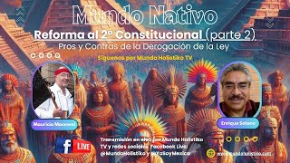 Reforma 2° Constitucional parte 2 en Mundo Nativo con Mauricio Macewal 101024 [upl. by Elianora366]