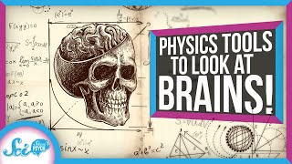 3 Ways Physics Can Help Us Understand the Brain [upl. by Enneirb677]