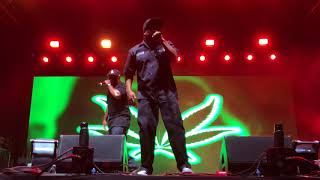 Ice Cube  Friday Live  Summertime In The LBC [upl. by Oehsen10]