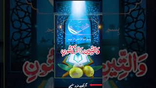 Health Benefits of Olive Oil Zaitoon KeFayde  Zaitoon Ka Tail islamicwazaif wazaiftawakal [upl. by Gnolb]