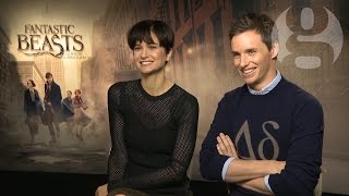 Fantastic Beasts cast A bunch of squirrels together  thats pretty fantastic [upl. by Attelra614]