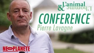 Le message est dans le chant  Pierre Lavagne bioacousticien marin qui travaille avec les baleines [upl. by Lareneg]