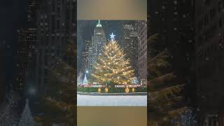 Christman Snow Storm In New York City sleep sleepsounds asmr [upl. by Cormack]