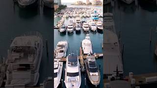 Miami Beach Marina miamibeachmarinayachtlife miamibeach miamilife erinyachtsales [upl. by Henarat]