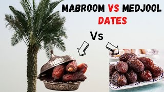 🌴Mabroom Dates Vs Medjool Dates Comparison  The Fact of Mabroom and Medjool Dates Preferring to Eat [upl. by Tsenrae]