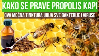 Propolis kapi kako se prave  Recept i upotreba za zdravlje [upl. by Ilocin]