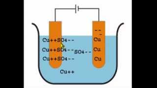 Electrolysis of Copper Sulphate Using Copper Electrodes [upl. by Tennaj]