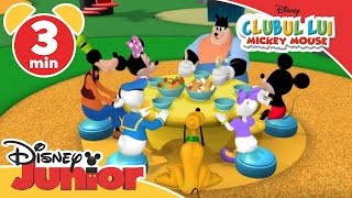 Clubul lui Mickey Mouse  Fructele și legumele lui Minnie Doar la Disney Junior [upl. by Kumler]