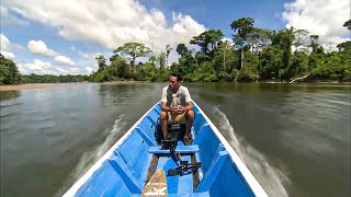 Suriname in the Heart of Endless Forests [upl. by Aeslahc]