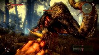 The witcher 2 gameplay ITA HD  uccidere il Kayran [upl. by Eemia]